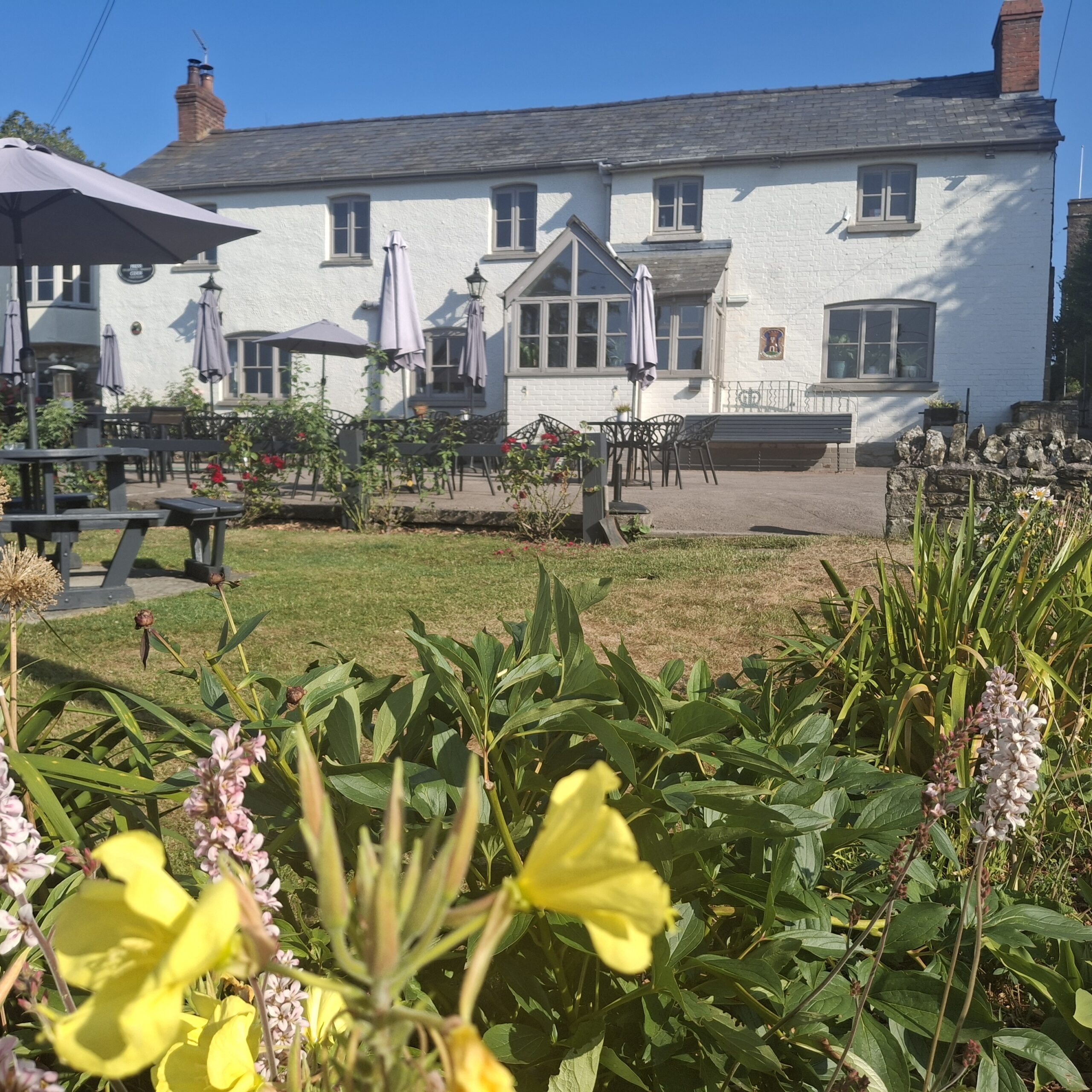 20260709_084335 https://thecrowninn.pub/wp-content/uploads/2026/07/20260709_084335-scaled.jpg